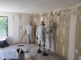 Mold Documentation for Insurance Claims in Ransom Canyon, TX